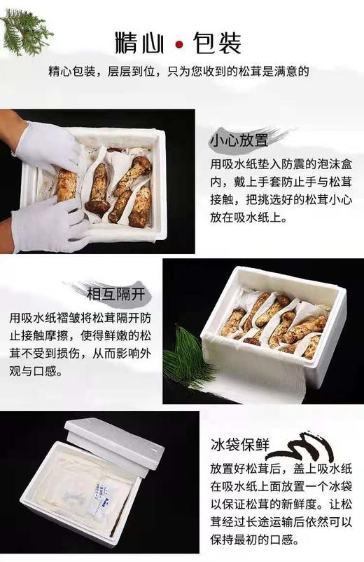 云南香格里拉·野生松茸 商品图9