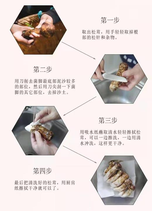 云南香格里拉·野生松茸 商品图7
