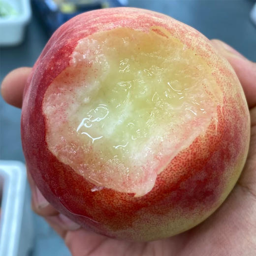 蜜桃1000g/份（脆嫩多汁） 商品图2