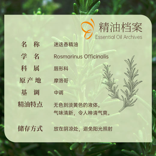 摩洛哥迷迭香精油10ml【单方精油·需搭配使用】专注焕活肌肤 清澈肌肤 专心伴读超典精油 22年精油经验【嘉媚乐】 商品图1