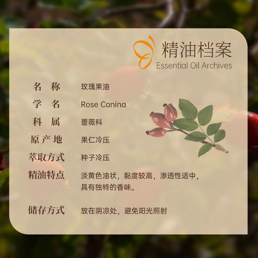 玫瑰果油30ml【基础油·可搭配单方精油】淡化细纹 温柔呵护轻熟龄肌肤   22年精油经验【嘉媚乐】 商品图3