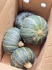 活动价 29.9元   山东黑贝一号板栗南瓜 商品缩略图5