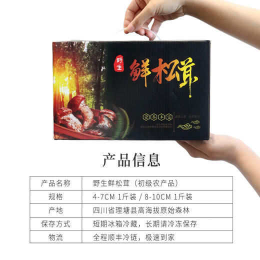 正安 甄选高海拔新鲜松茸【不叠加其他活动】高海拔严选  每年仅此一季  顺丰发货新鲜直达【新鲜产品不接受退换货，请及时签收】 商品图10
