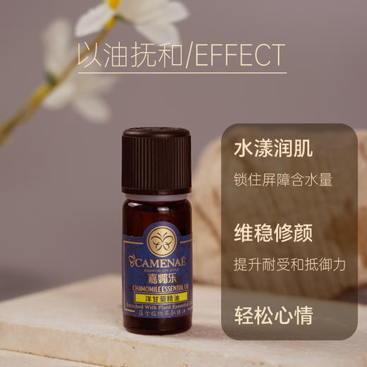 法国洋甘菊精油10ml【单方精油·需搭配使用】修护肌肤 换季维稳 红肿敏敏肌推荐 22年精油经验【嘉媚乐】 商品图0