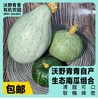 沃野青青生态南瓜组合7斤装/箱   有机方式种植  顺丰发货 商品缩略图0