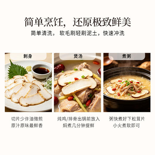 正安 甄选高海拔新鲜松茸【不叠加其他活动】高海拔严选  每年仅此一季  顺丰发货新鲜直达【新鲜产品不接受退换货，请及时签收】 商品图9