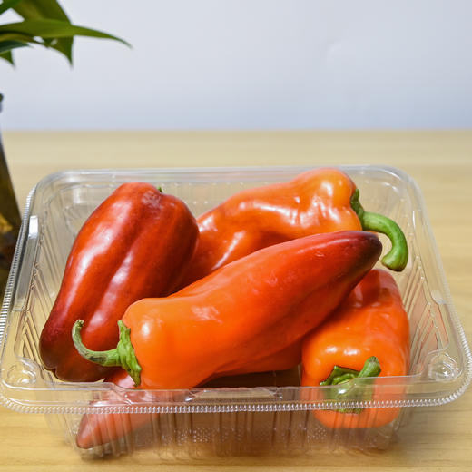 塔塔蜜®️变色龙脆甜椒 商品图6