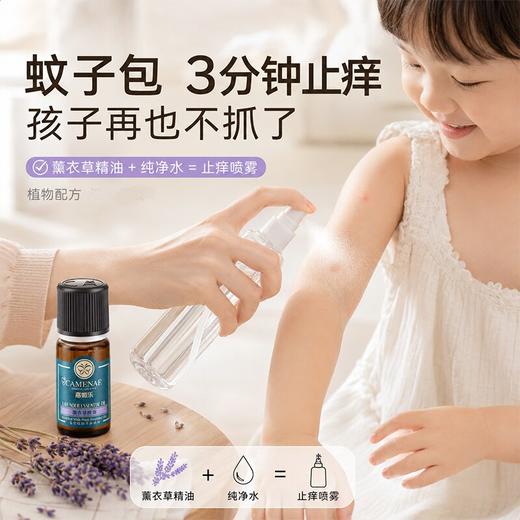 薰衣草精油10ml【单方精油·需搭配使用】舒缓焦虑睡眠 舒缓熨帖肌肤  22年精油经验【嘉媚乐】 商品图2