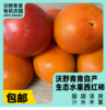 预售沃野青青露天生态水果西红柿  | 籽粒饱满 ，味道浓郁 商品缩略图0