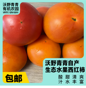 预售沃野青青露天生态水果西红柿  | 籽粒饱满 ，味道浓郁