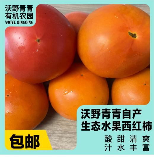 预售沃野青青露天生态水果西红柿  | 籽粒饱满 ，味道浓郁 商品图0