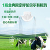伊利金典4.0g乳蛋白 限定牧场呼伦贝尔有机纯牛奶250ml*10盒 商品缩略图8