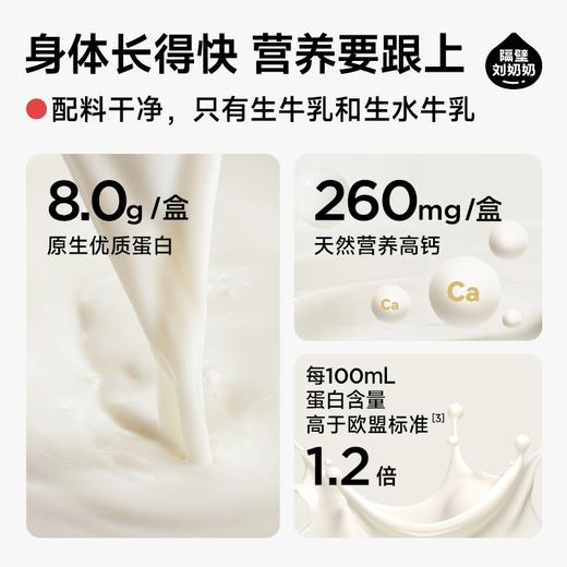 隔壁刘奶奶水牛配方小红帽纯牛奶(200ml*10盒) 商品图4