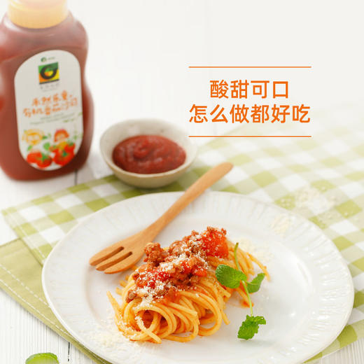 禾然乐童有机番茄沙司320g 商品图6
