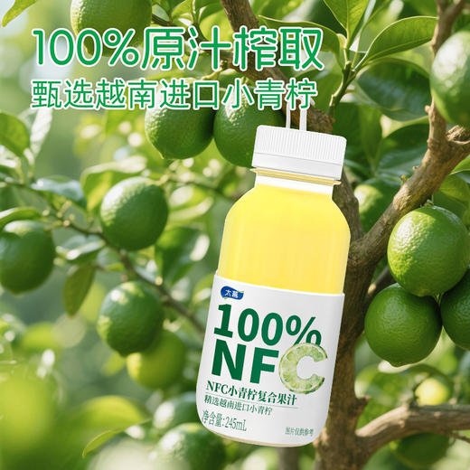 太慕NFC小青柠复合果汁(245ml*10) 商品图2