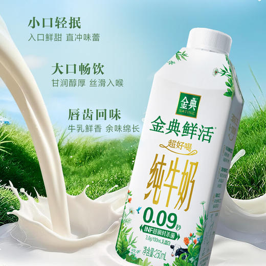 金典鲜活纯牛奶夺目瓶(250ml*10) 商品图2