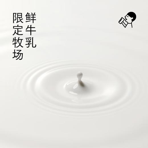 喜茶牛乳茶奶茶饮料350ml*6（3种口味各2瓶） 商品图5