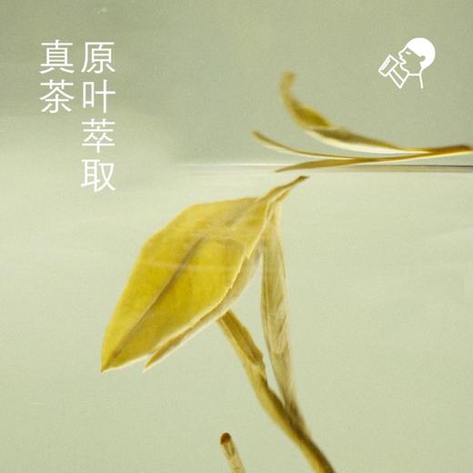 喜茶牛乳茶奶茶饮料350ml*6（3种口味各2瓶） 商品图4