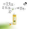喜茶茉莉清抹原味茶饮料500ml*15瓶 商品缩略图3