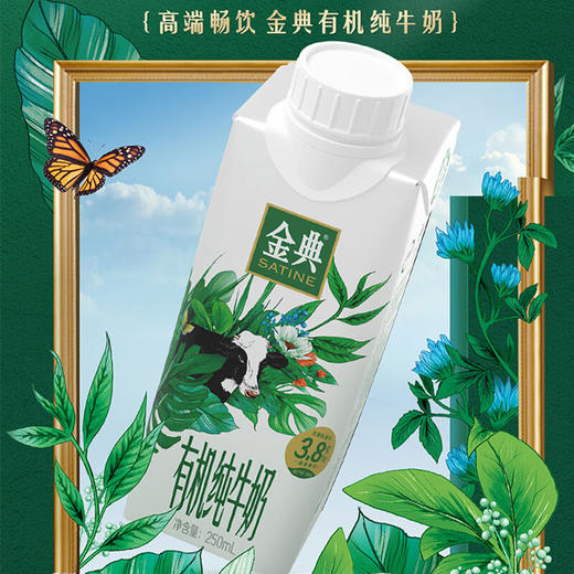 伊利单提(金典有机纯牛奶梦幻250ml*10盒) 商品图4