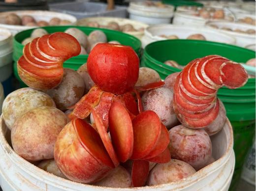 新疆喀什恐龙蛋（新疆乡村振兴） 商品图3