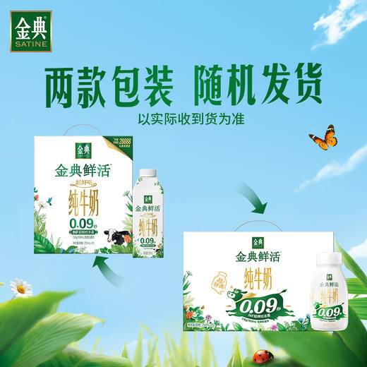 金典鲜活纯牛奶夺目瓶(250ml*10) 商品图6