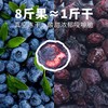 沃田蓝有机冻干蓝莓礼盒装  10g*6袋*盒 商品缩略图3
