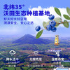 沃田蓝有机冻干蓝莓礼盒装  10g*6袋*盒 商品缩略图4