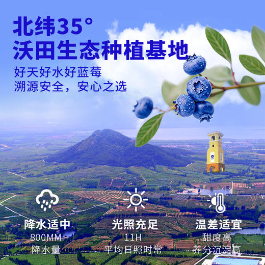 沃田蓝有机冻干蓝莓礼盒装  10g*6袋*盒 商品图4