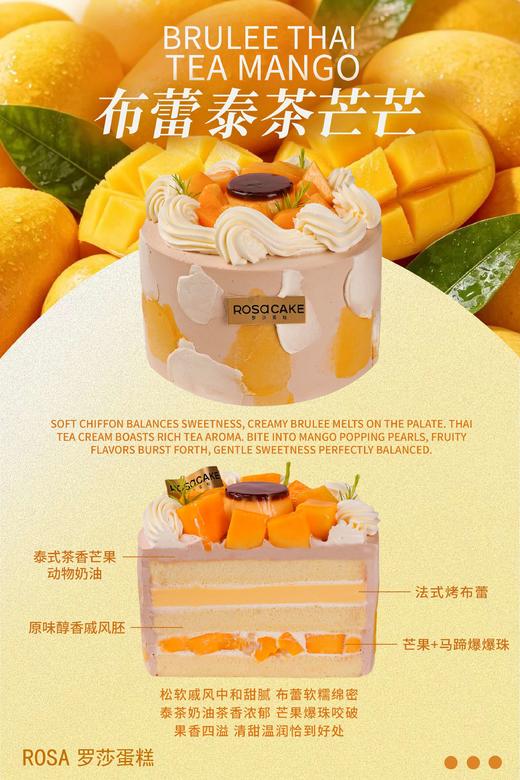 6英寸布蕾泰茶芒芒 商品图1