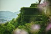 8.29～8.30·衢山岛2日｜别去济州岛了！这才是江浙沪的《你的名字》+宫崎骏同款 商品缩略图3
