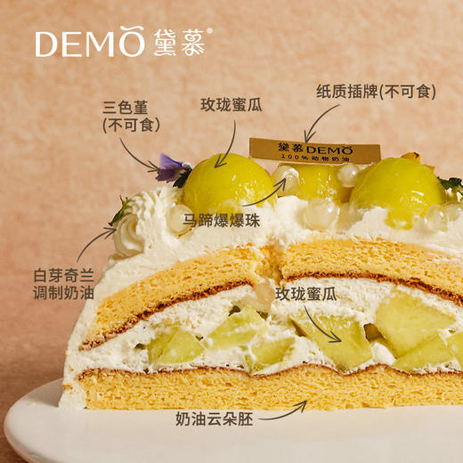 【现货】蜜瓜墩墩·16cm*6cm（5-6人）6英寸 商品图1
