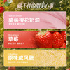 【洛可可草莓庄园】来自花园的礼物 商品缩略图3