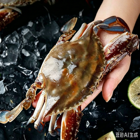 【预售】梭子蟹1只（3两左右）