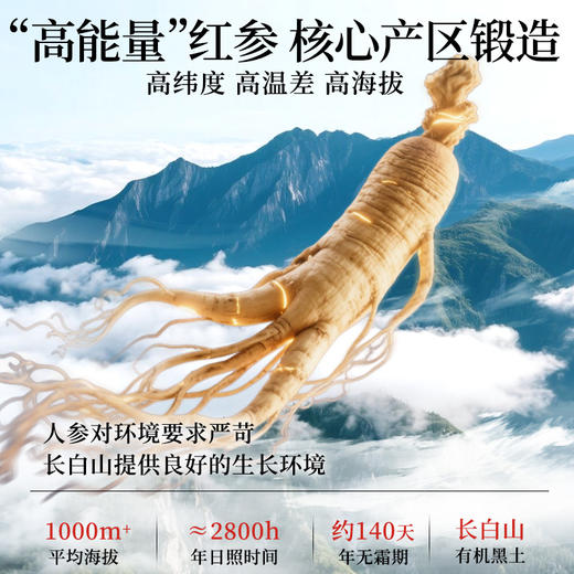 蜜制红参段 核心产区自由种植基地 拒绝防腐剂色素 补充元气精力女性友好红润人参 红参蜜片3g*14包/盒 商品图1