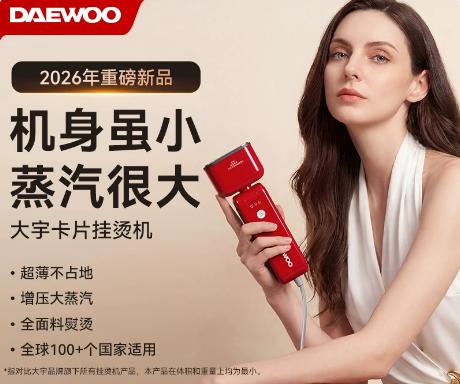 大宇手持挂烫机HI-035 商品图0