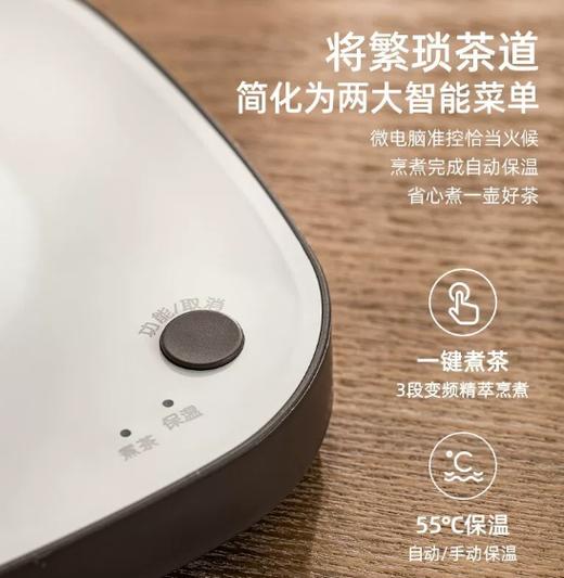 小熊煮茶器ZCQ-A05S1 商品图3