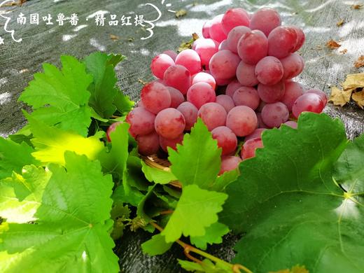阳光玫瑰+吐鲁番红提葡萄（云南乡村振兴） 商品图2