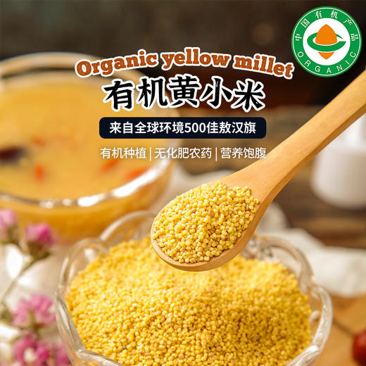 内蒙赤峰有机黄小米 2斤装 商品图1