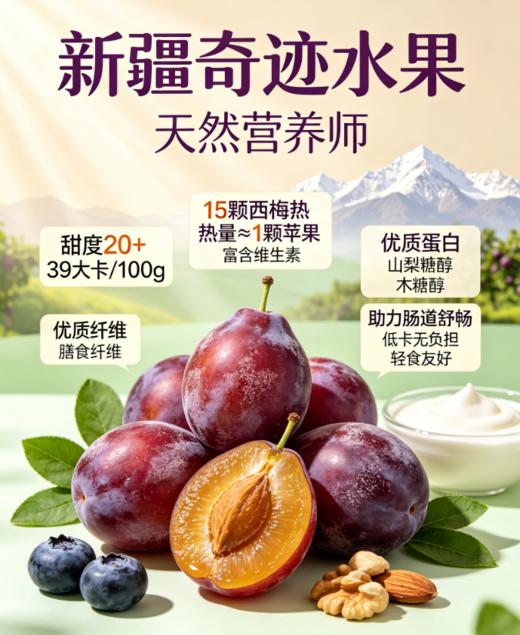 新疆喀什法兰西西梅 商品图0
