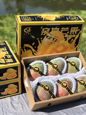 四川攀枝花 特级凯特芒5斤装