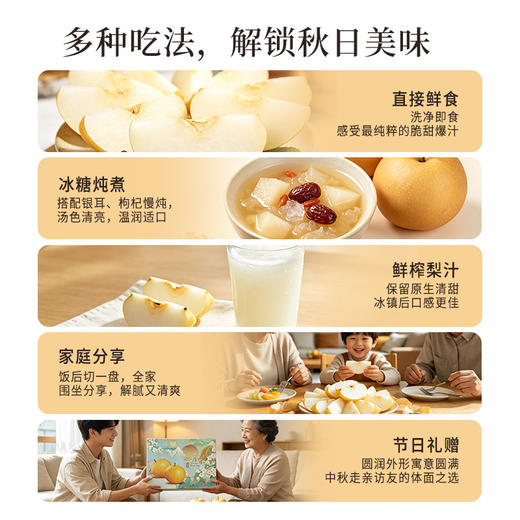 正安严选 砀山秋月梨礼盒款 金秋送礼限定 个大饱满脆甜多汁 秋燥肺部咳嗽咽喉老师 8个大果 商品图7