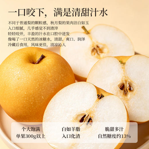 正安严选 砀山秋月梨礼盒款 金秋送礼限定 个大饱满脆甜多汁 秋燥肺部咳嗽咽喉老师 8个大果 商品图3