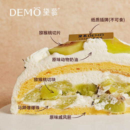 【现货】kiwi墩墩·16cm*6cm（5-6人）6英寸 商品图1
