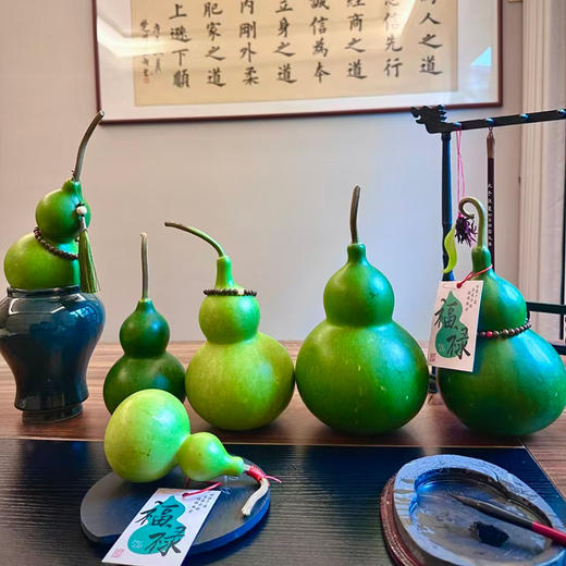 【十堰主城区包邮】云南青皮新鲜葫芦摆件（12-15cm）1个+卡片1张（8.27日发货） 商品图2