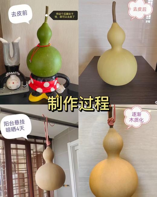 【十堰主城区包邮】云南青皮新鲜葫芦摆件（12-15cm）1个+卡片1张（8.27日发货） 商品图4