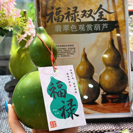 【十堰主城区包邮】云南青皮新鲜葫芦摆件（12-15cm）1个+卡片1张（8.27日发货） 商品图1