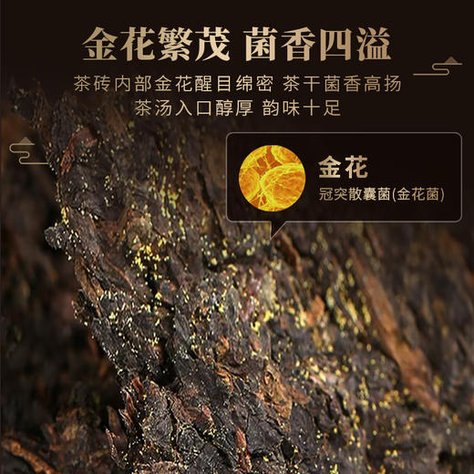 湘益茯砖金花茶礼盒 五年陈藏茶香浓郁 国家非遗黑茶茶砖 唇齿留香 送师长父母茶叶送礼礼盒 240g(24gX10袋) 商品图2