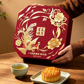 星辰皓月月饼礼盒【广州酒家粮丰园】传统广式月饼送礼体面送长辈父母 9枚月饼豆沙白莲蓉黑芝麻多种口味