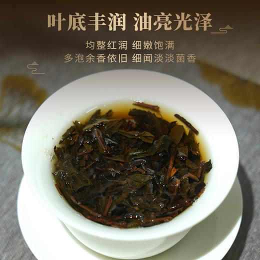 湘益茯砖金花茶礼盒 五年陈藏茶香浓郁 国家非遗黑茶茶砖 唇齿留香 送师长父母茶叶送礼礼盒 240g(24gX10袋) 商品图4